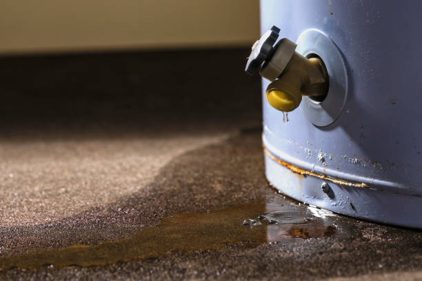 Water damage restoration mold remediation in Waverly, MI