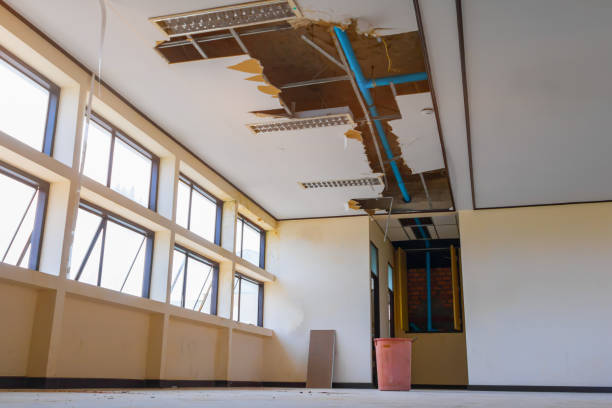 Best Fire Damage Restoration  in Waverly, MI