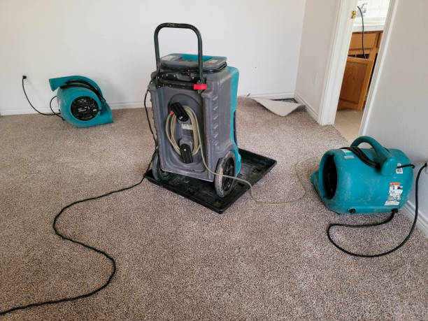 Best Flooded house restoration  in Waverly, MI