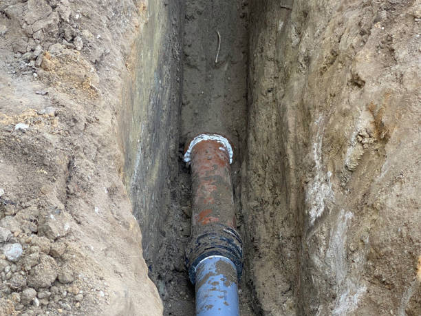 Best Flood damage cleanup  in Waverly, MI