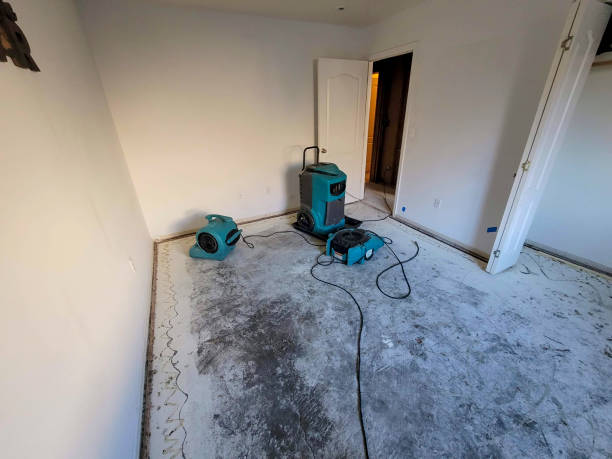 Best Water damage cleanup near me  in Waverly, MI
