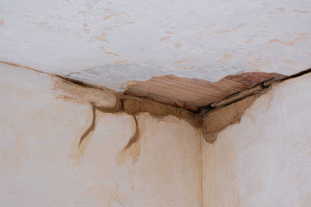 Best Water damage restoration near me  in Waverly, MI