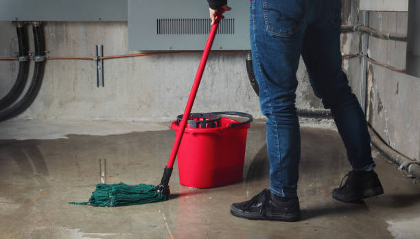 Professional Water damage restoration in Waverly, MI