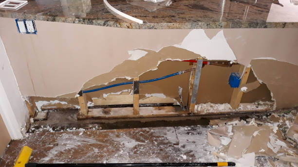 Best Mold removal after water damage  in Waverly, MI