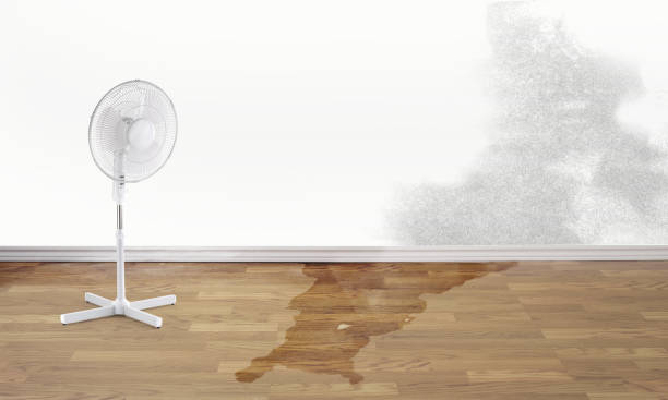 Best Residential water damage restoration  in Waverly, MI