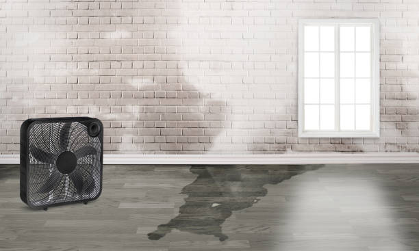 Fire Damage Restoration in Waverly, MI