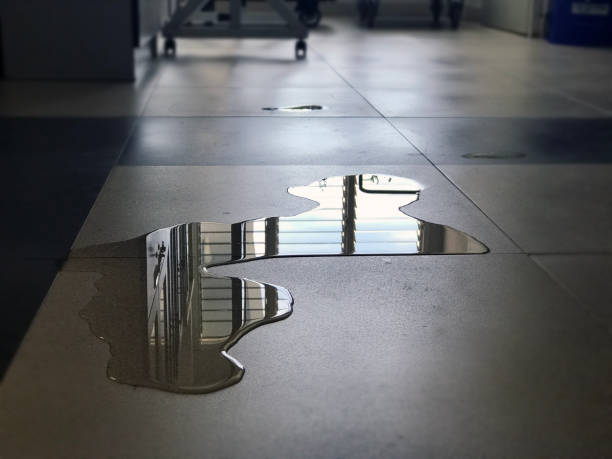 Best Local water damage restoration  in Waverly, MI