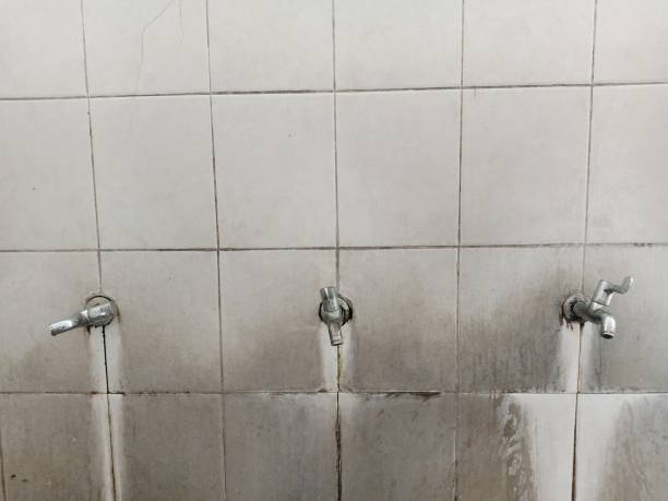 Best Flood restoration services  in Waverly, MI