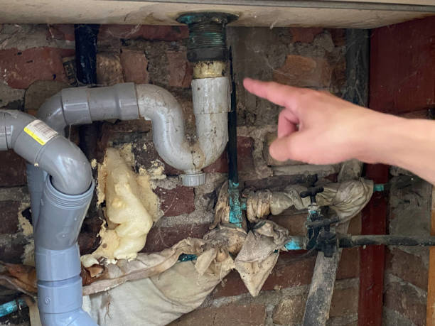 Best Water damage restoration specialists  in Waverly, MI