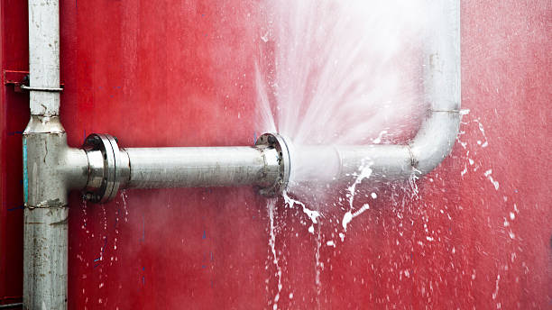 Best Sewage cleanup and water damage restoration  in Waverly, MI
