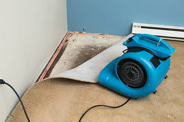 Best Commercial water damage restoration  in Waverly, MI